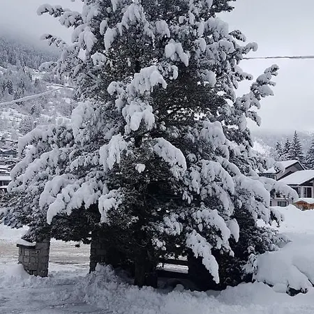 Ξενοδοχείο Pineta