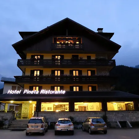 Pineta Hotel 3*