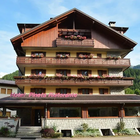 Pineta Hotel 3*