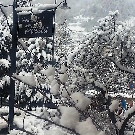 Hotel Pineta 3*