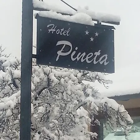Hotel Pineta 3*