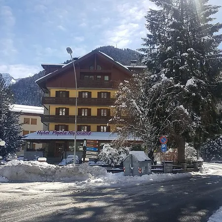 Pineta Hotel 3*