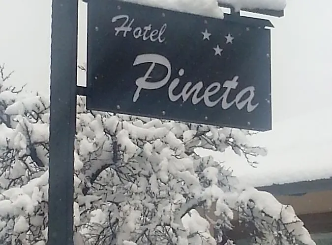فندق Pineta 3*