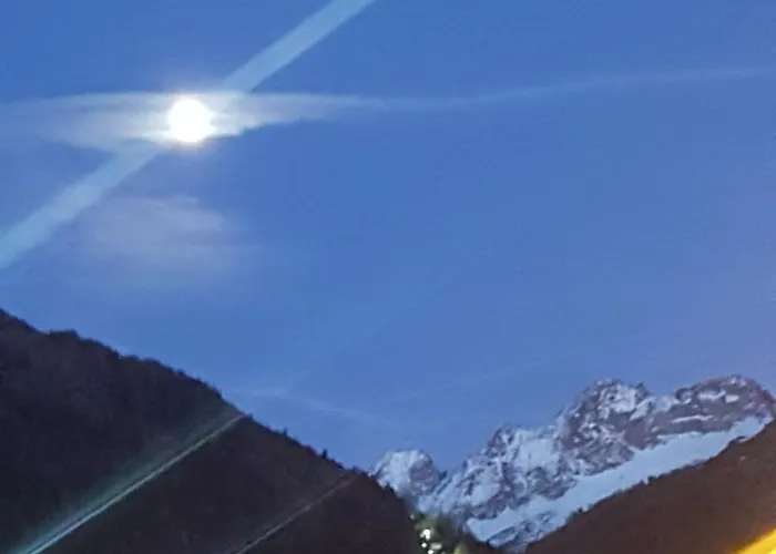 Pineta بونتي دي لينيو