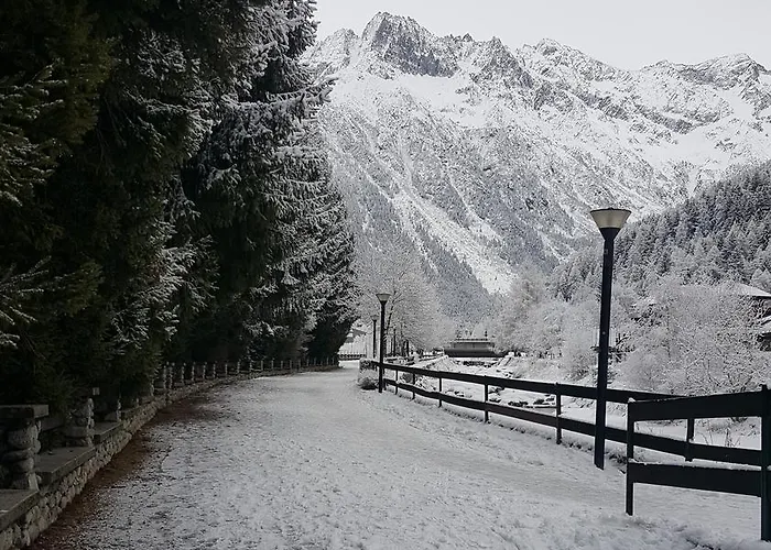 Pineta فندق