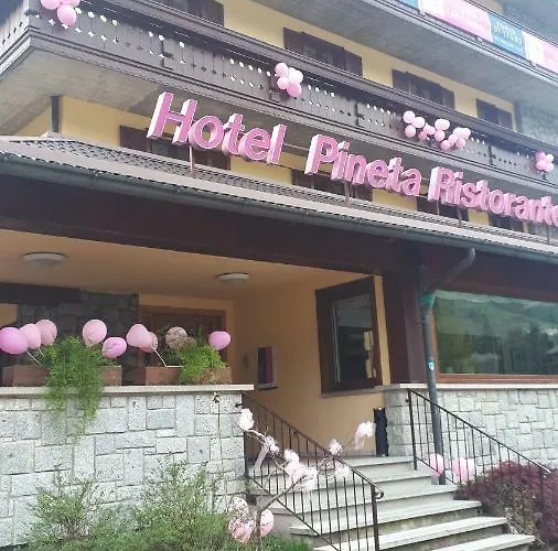 Pineta بونتي دي لينيو